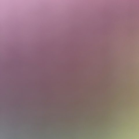 niya6789054322