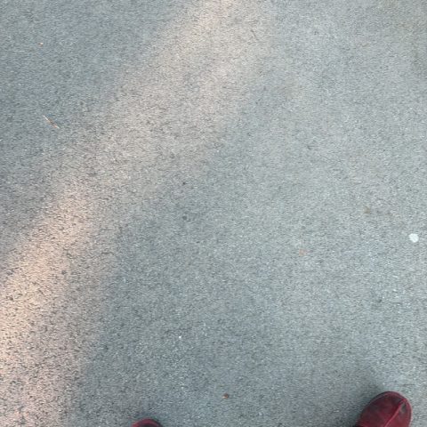 Eshia24