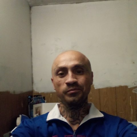 dantheman