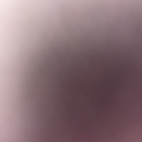 shaniya555