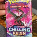 willznchan3gmail_com