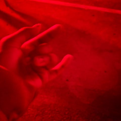 niqniq